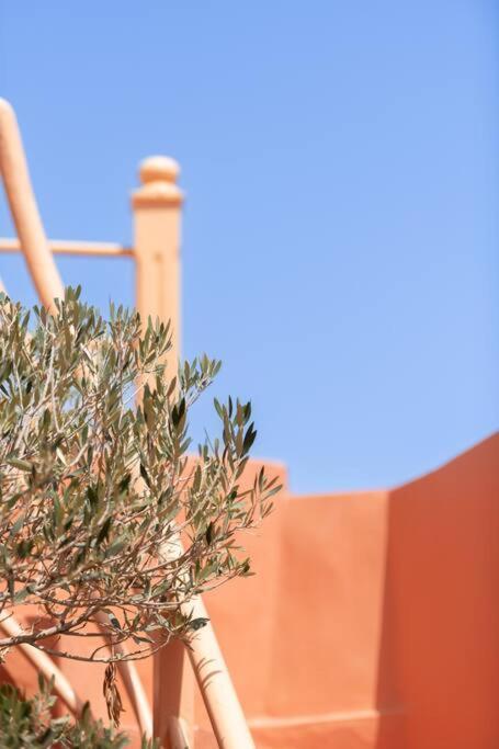 Riad Le Petit Bacha Marrakesh Exterior foto